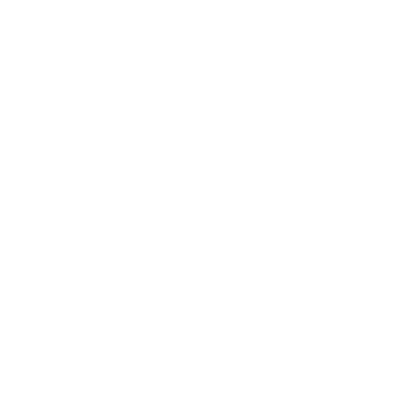 Home Network logo